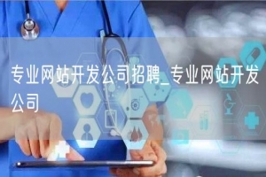 专业网站开发公司招聘_专业网站开发公司